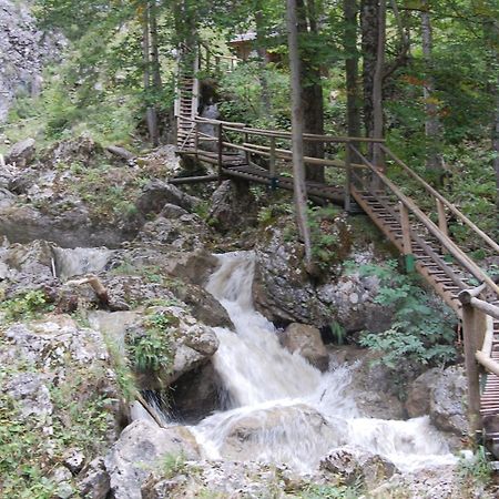 Apartments Am Kirchkogel "Laendliche Entspannung Im Herzen Der Steiermark" Pernegg an der Mur Buitenkant foto