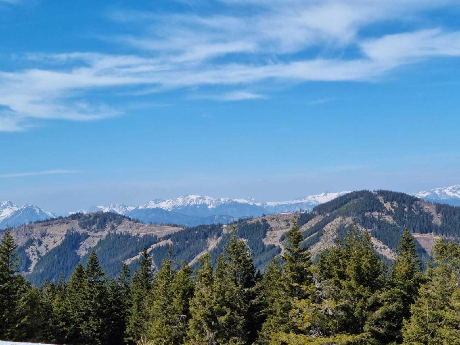 Apartments Am Kirchkogel "Laendliche Entspannung Im Herzen Der Steiermark" Pernegg an der Mur Kamer foto