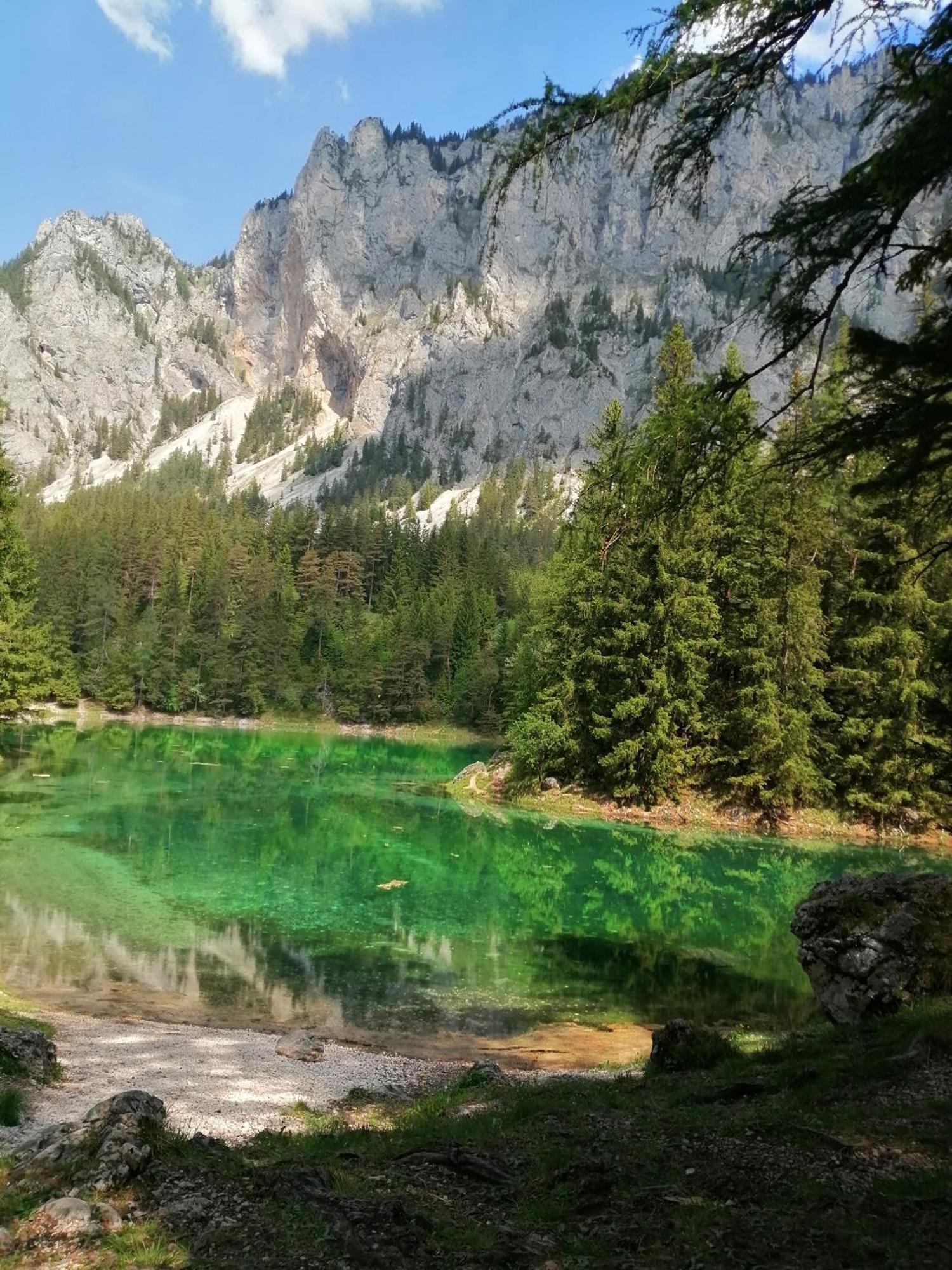 Apartments Am Kirchkogel "Laendliche Entspannung Im Herzen Der Steiermark" Pernegg an der Mur Kamer foto